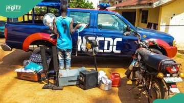 Dubu ta cika: NSCDC ta cafke shahararrun barayi da suka addabi yankuna 3 a Kano