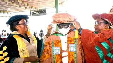 Presidency 2023: Chicago university finally speaks on Tinubu's graduation