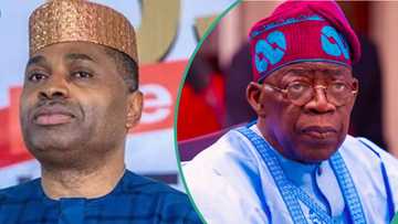 Tribunal judgement: “It’s conjecture to claim that Tinubu won election,” Kenneth Okonkwo explains