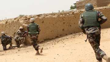 Coalition hails troops over killing of Lake Chad Boko Haram commander