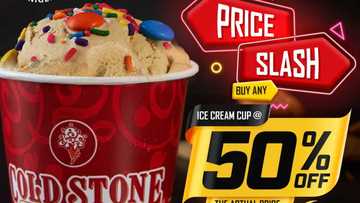 Indulge in Cold Stone’s Black Friday and Solo Deal this November