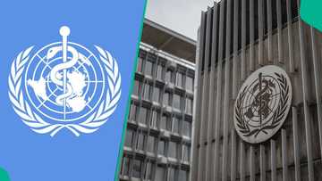 Apply now: WHO announces new high-paying job vacancy for interested individuals, shares link