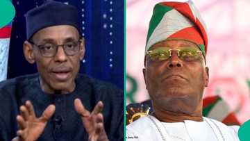 "Abandon presidential ambition": Powerful northern elder tells Atiku, advises him on next action