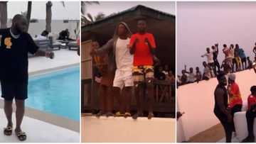 Fans risk it all for Davido, climb fence to dance for singer as they discover him at private Lagos beach house