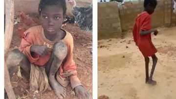 An ceto yaron da iyayensa suka ɗaure shi tare da dabobi na shekaru biyu a Kebbi