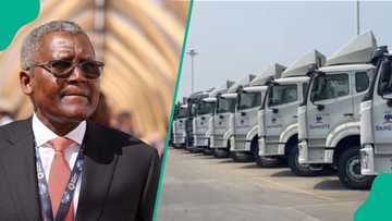 Dangote Group orders 1,000 CNG trucks from China to boost green logistics