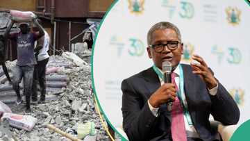 Dangote Cement enters another African country market, ready to challenge competitors