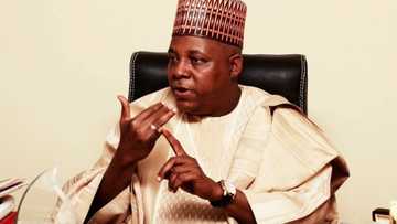 Duk da rashin tsaro Jihar Borno ta yiwa wasu jihohin Najeriya 6 zarra wajen samun kudaden shiga