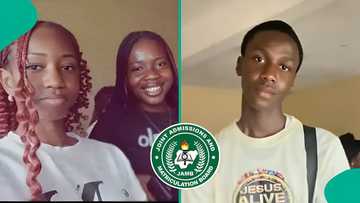 2026 UTME result: 3 students write JAMB exam, shows off high scores in Government and Literature