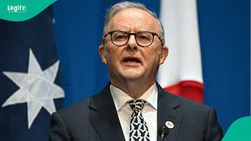 Australia tightens student and working holiday visa rules to cut immigration