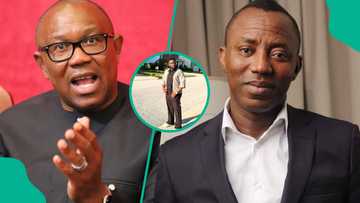 "You lied about Peter Obi": Comedian Acapella, Sowore clash over ex-gov’s 'dirty' secrets with Abacha