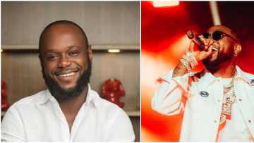 Tit for tat: Seyi Tinubu demands free concert for fans hours after giving Davido N2 million