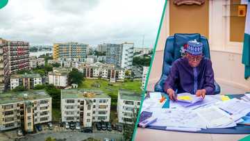 FMBN opens mortgage window for Nigerians abroad to get N100m to buy homes