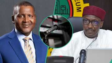 Fuel prices could soar past N1,000/litre if Dangote, NNPCL end price war, expert warns