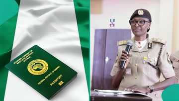 Has Nigeria Immigration Service suspended passport services in Kano? NIS speaks