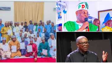 2023 elections: 45 special advisers to APC governor defect, pick between Atiku, Obi