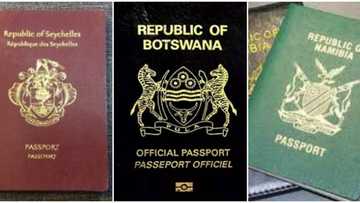 Where Nigeria stands: Top 5 most powerful passports in Africa in 2021 revealed