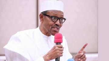 Ba zan bari 'yan ta'adda su lalata mana tsarin ilimi ba, in ji shugaba Buhari