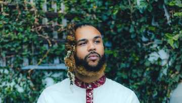 Jidenna biography: age, height, parents, net worth, where is he from?