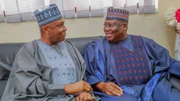 Ahmed Lawan: Dalilin da yasa na sha kaye wurin Saraki a 2015