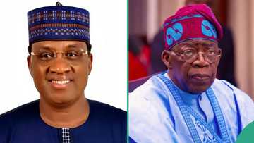 Breaking: Drama as popular northern senator dumps APC, alleges Tinubu is a ‘use-and-dump’ leader
