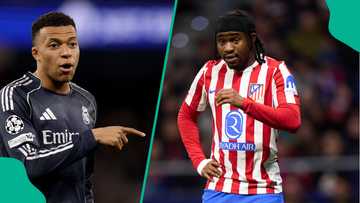 Oracle cat predicts winner of Real Madrid vs Lookman's Atletico