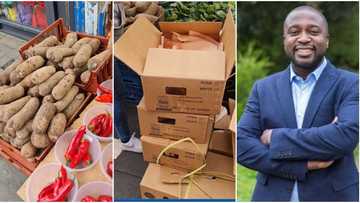 "It's profitable": Wise Nigerian man starts to sell yams in the UK, viral video trends on Twitter