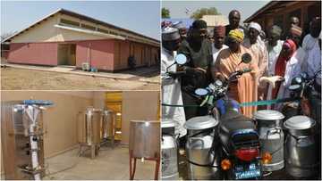 Gagara tsara: El-Rufai ya kaddamar da kamfanin sarrafa nonon shanu a jahar Kaduna