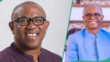 2027 Presidency: "Peter Obi plans to unite with El Rufai in SDP", Daniel Bwala claims