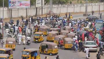 Kano: Yadda 'yan sanda suka hana dubban mutane shiga Kasuwar Kwari