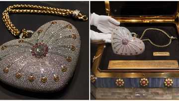 World's most expensive bag: Mouawad '1001 Nights Diamond' purse is worth N1.5 billion