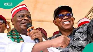 2027 plot to sack Tinubu: Viral video shows Obi, Dickson, Kwankwaso in Abuja as details emerge