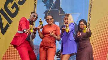 Nigerian Breweries Announce New Addition to Portfolio, Malt-Infused Energy Drink