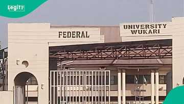 Bwacha sparks fresh controversy over Federal University Wukari