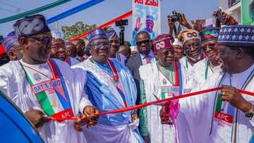 2023 elections: Senate president Ahmad Lawan working for Atiku, PDP? APC opens up