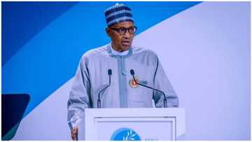 Buhari hail Nigerians in diaspora, says their competitive spirit, a result of good education acquired at home