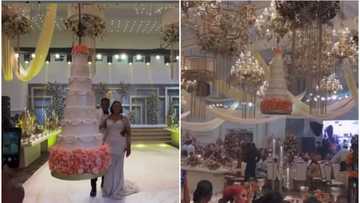 See packaging: Guests cheer as wedding cake descends from 'heaven' for couple to cut, video stirs reactions