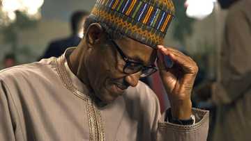 Kaico: Wutar Gobara ta yi babban ta'adi a Mahaifar Shugaba Buhari