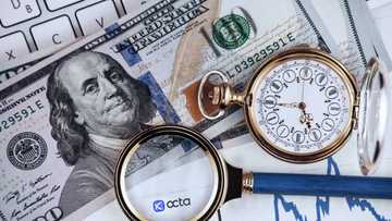 Currency trading made clear: An Octa guide to navigating the Forex market