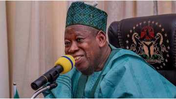 Kano Guber 2023: Ganduje speaks as vote counting continues, reveals APC's fate