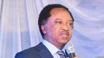 Insecurity: Shehu Sani says terrorists have forced Nigerians to flee to other countries