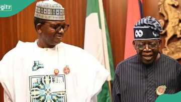 Matawalle ya dawo da karfinsa, ya yi alƙawarin ƙuri'u miliyan 20 ga Tinubu