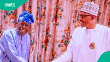 Ganduje ya sanar da ranar babban taron APC, Tinubu da Buhari za su halarta