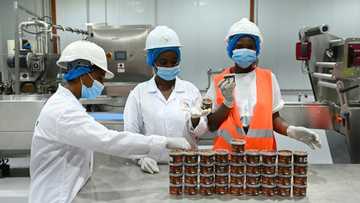 Ivorian brothers dream of transforming cocoa industry