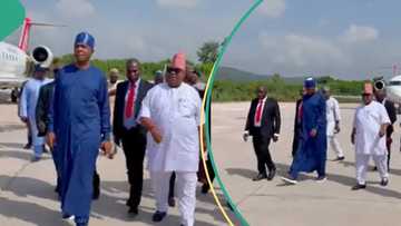 Kogi guber election: Saraki, Adeleke, others arrive for PDP campaign flag-off