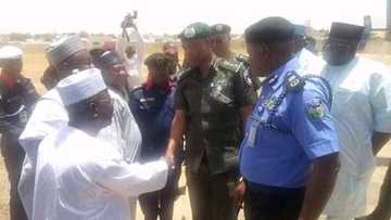 Dialogue with bandits: Good news as repentant criminals surrender 240 guns