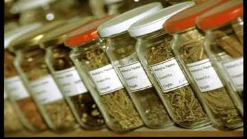 Hukumar Hisbah da KAROTA za su fara kama masu batsa wurin siyar da magungunan gargajiya