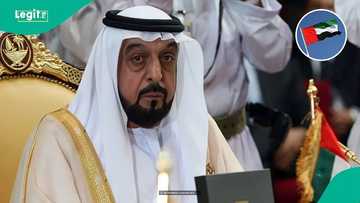 UAE confirms official prices for 30, 60-day multiple-entry visas