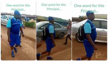 Principal surprises many people by coming to school in children's uniform, excited pupils cheer