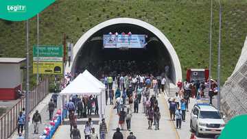Nepal tunnel rescue: Expert shares how 2 survivors were pulled out alive